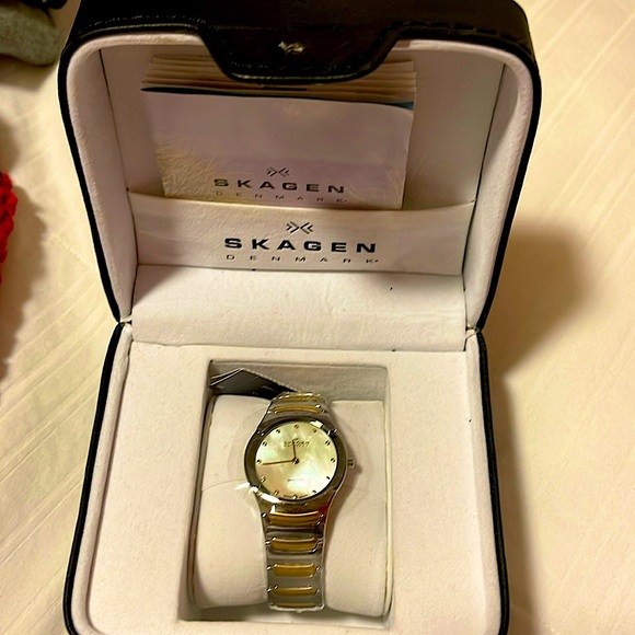 SKAGEN DENMARK WATCH. NEW IN BOX - Picture 1 of 9